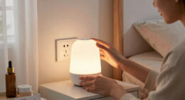 2 Best Home Night Lights In 2026